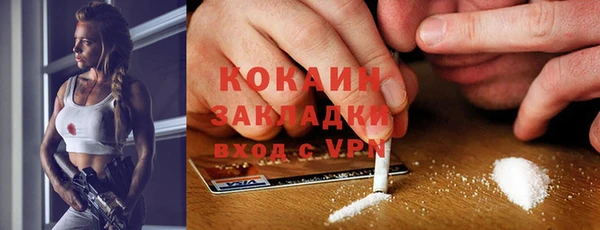 соль ск Няндома