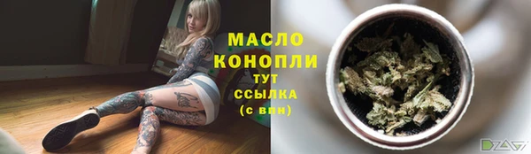 соль ск Няндома