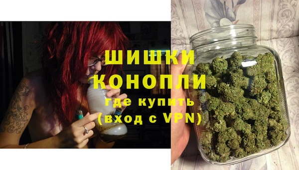 соль ск Няндома