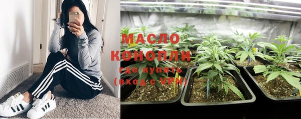 соль ск Няндома