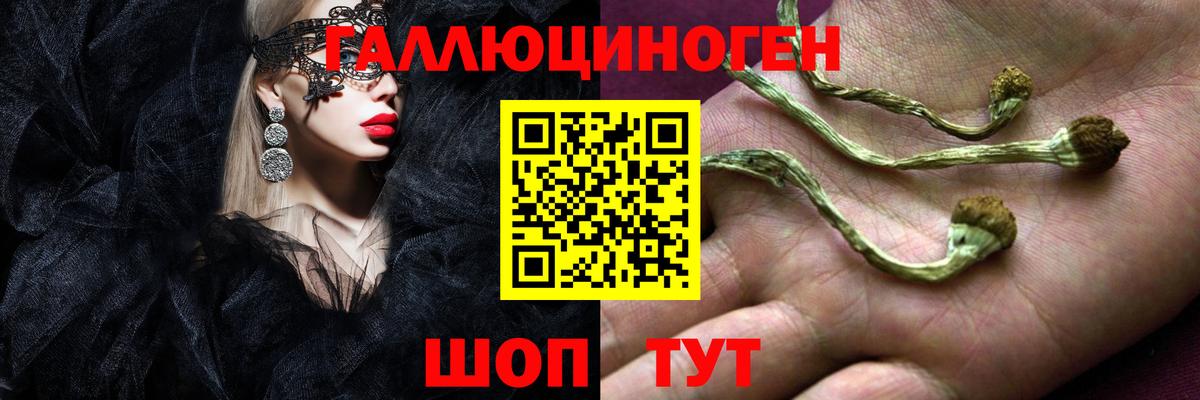 Галлюциногенные грибы прущие грибы Новочеркасск