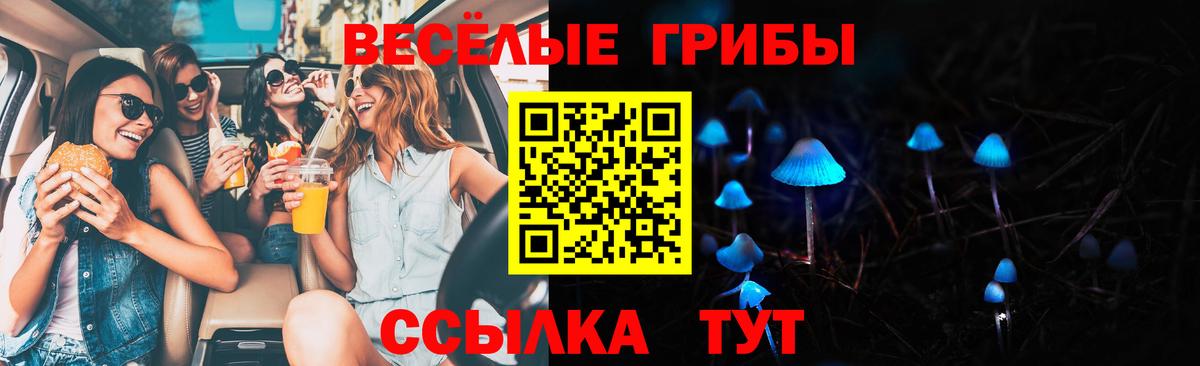 Новочеркасск  Галлюциногенные грибы мухоморы  Вход с VPN 